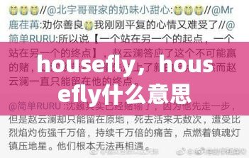 housefly，housefly什么意思