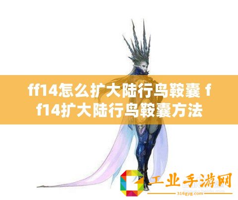 ff14怎么擴大陸行鳥鞍囊 ff14擴大陸行鳥鞍囊方法