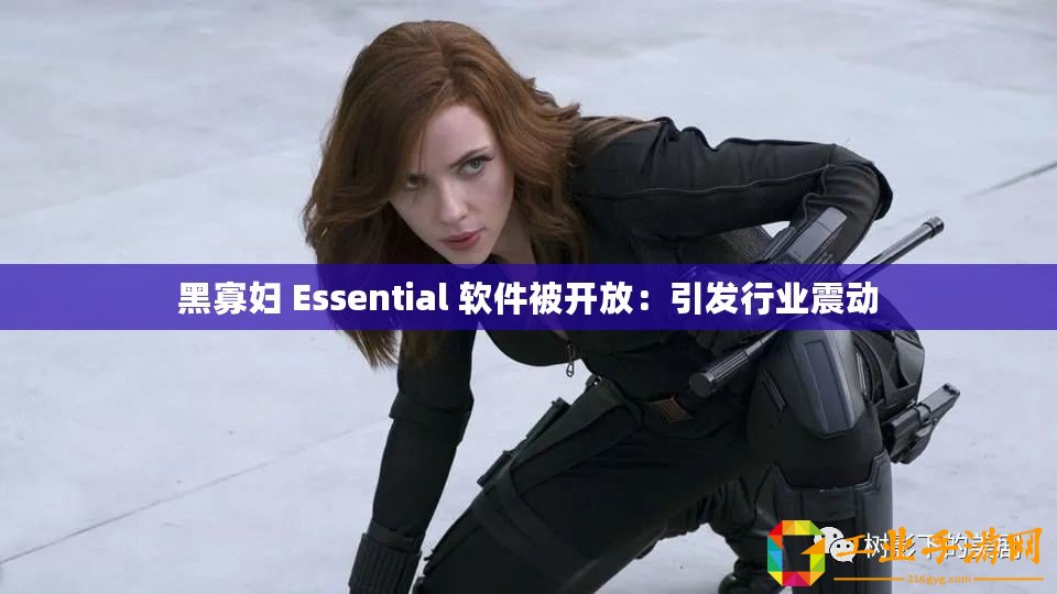 黑寡婦 Essential 軟件被開放：引發行業震動