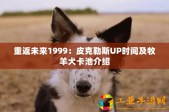 重返未來1999：皮克勒斯UP時間及牧羊犬卡池介紹