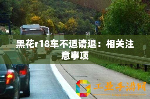 黑花r18車不適請退：相關(guān)注意事項