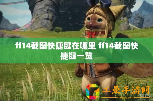 ff14截圖快捷鍵在哪里 ff14截圖快捷鍵一覽