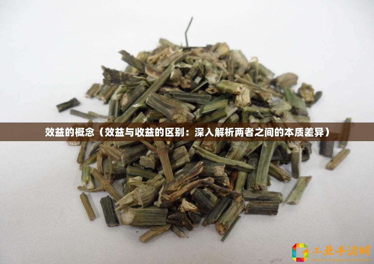 效益的概念（效益與收益的區(qū)別：深入解析兩者之間的本質(zhì)差異）