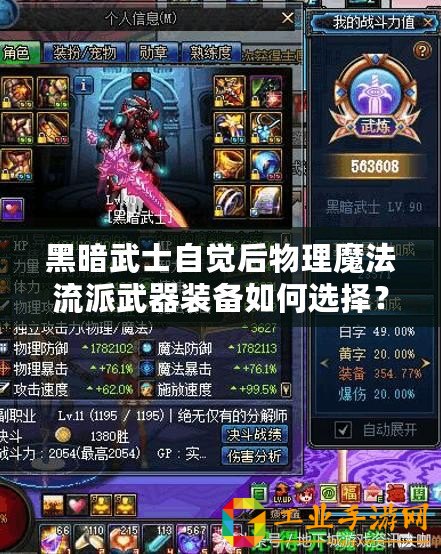 黑暗武士自覺后物理魔法流派武器裝備如何選擇？